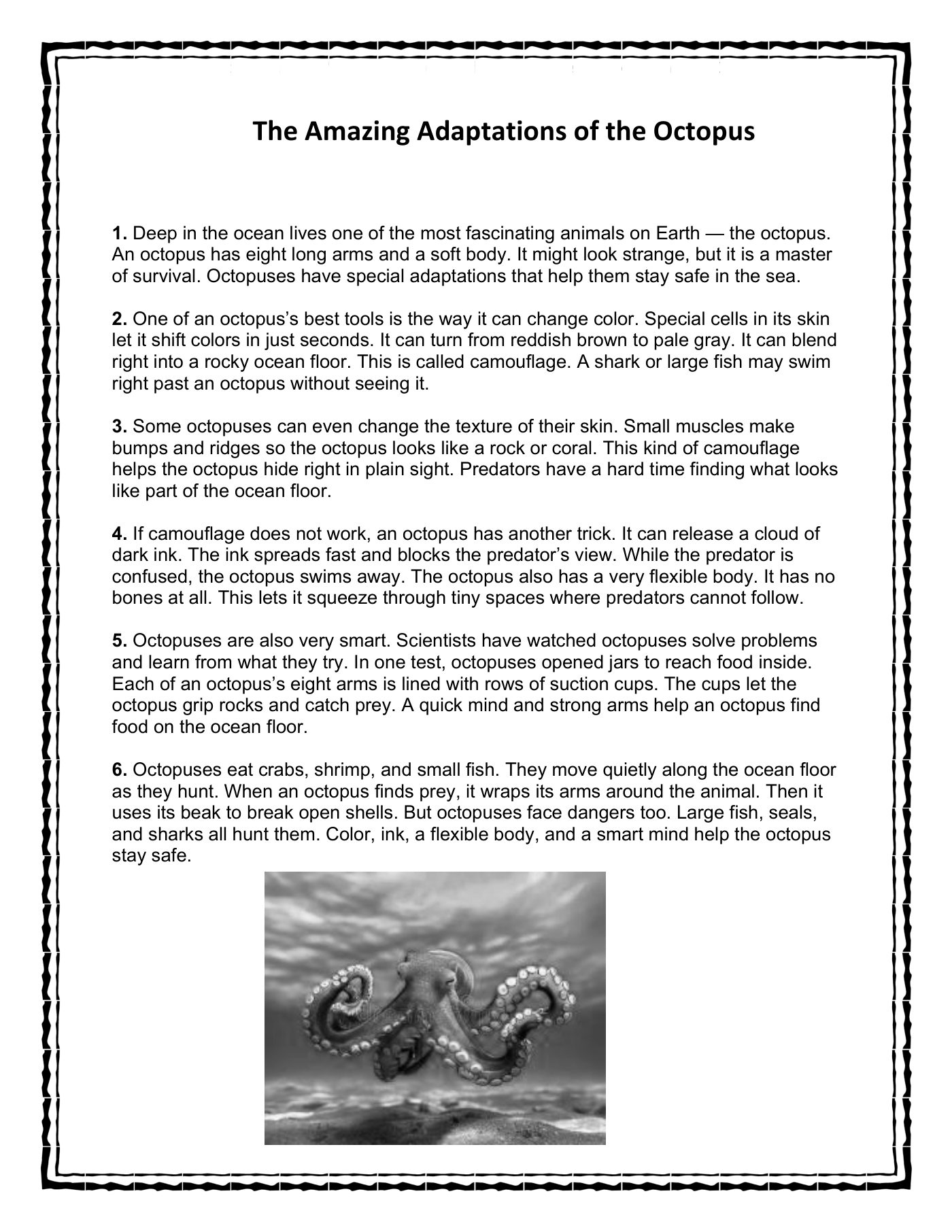 Animal Adaptations informational passage, page 1